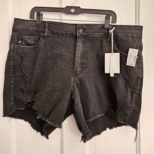 KanCan Women's Distressed High Rise Black Jean Shorts size 18 New with Tags